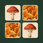 Pexeso: Matching Pairs Game iOS Icon