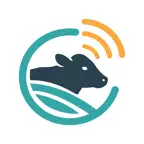 PreLive Vet iOS Icon