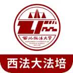 西法大法培 Icon
