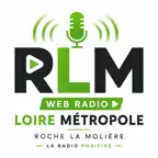 RLM Radio Icon