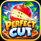 Perfect Cut - Slice Aim Cut iOS Icon