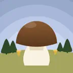 Mykotop icon