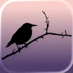 Sort Sol iOS Icon