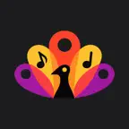 starzMix Icon