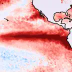 El Niño Forecast icon