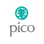 43rd Pico Group iOS Icon