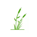 GS Le Roseau Link iOS Icon