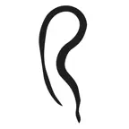 RITUAL. iOS Icon