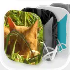 Hidden Layer iOS Icon