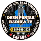 Desh Punjab TV Radio Icon