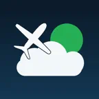 METAR Maid Icon