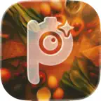 Plenty: What Can I Cook iOS Icon