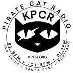 Pirate Cat Radio Icon