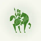 Amazonat Icon