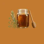 Oxymel: Herbal Apothecary Log iOS Icon