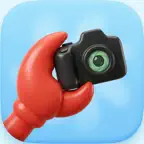 Cam Claw Icon