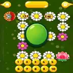 Bug Racing Icon