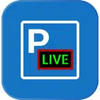 Parking Status iOS Icon
