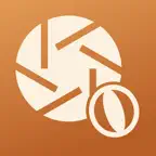 NumiAssist Icon