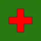 T-CARE+ Icon