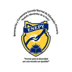 ENEPY Coach IA iOS Icon