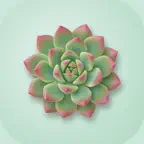 多肉变色 Icon