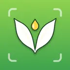 Primo Vegan: Food Label Check iOS Icon