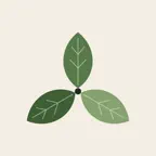 Moroa - Sleep, Move, Eat iOS Icon