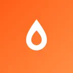 Phoenix Point of Sale Icon