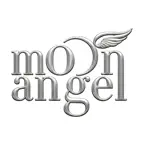 Moon Angel Icon