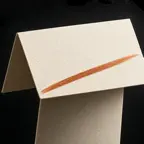 Speakfold Speech Cue Cards iOS Icon
