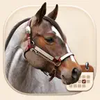 Impfkalender Tiere Icon