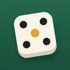 BoardMate: Dice & Score Keeper iOS Icon