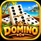 Domino Offline Play iOS Icon