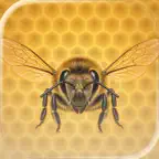VCELY – Beekeeping Journal iOS Icon