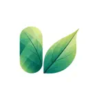LifeBack – Screen Time Control iOS Icon