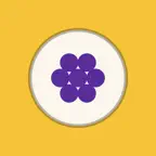 Go Narrow: Study Antibiotics icon