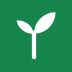 Verdia Icon