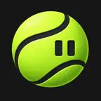 Court Points Icon
