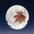 古风emo iOS Icon