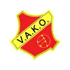 VAKO Handbal Icon