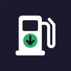 Cheap Pumps Icon
