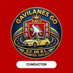 Gavilanes Go Conductor iOS Icon