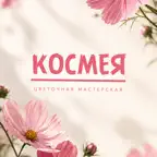Космея iOS Icon