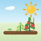 SowWeek: Garden Planner iOS Icon