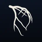 AngioView icon