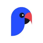 Parlo: Live Translator iOS Icon