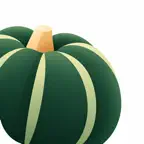 Pumpkin: Food Scanner Icon