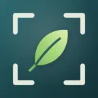 Plant Scanner: Identify Plants icon