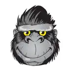 95.1 WAPE Jacksonville iOS Icon